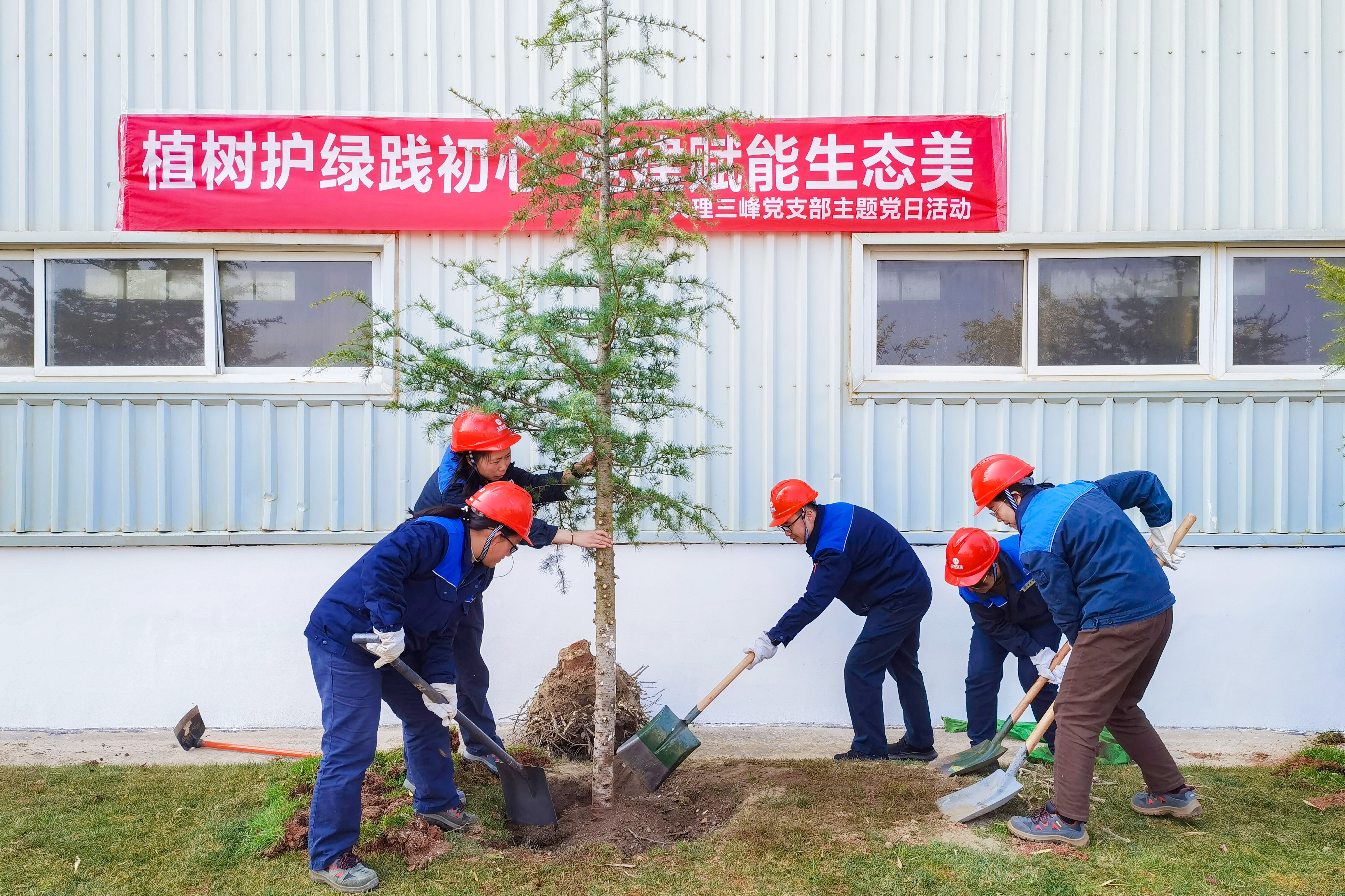 大理三峰植樹節照片2.jpg 大理三峰植樹節照片2.jpg
