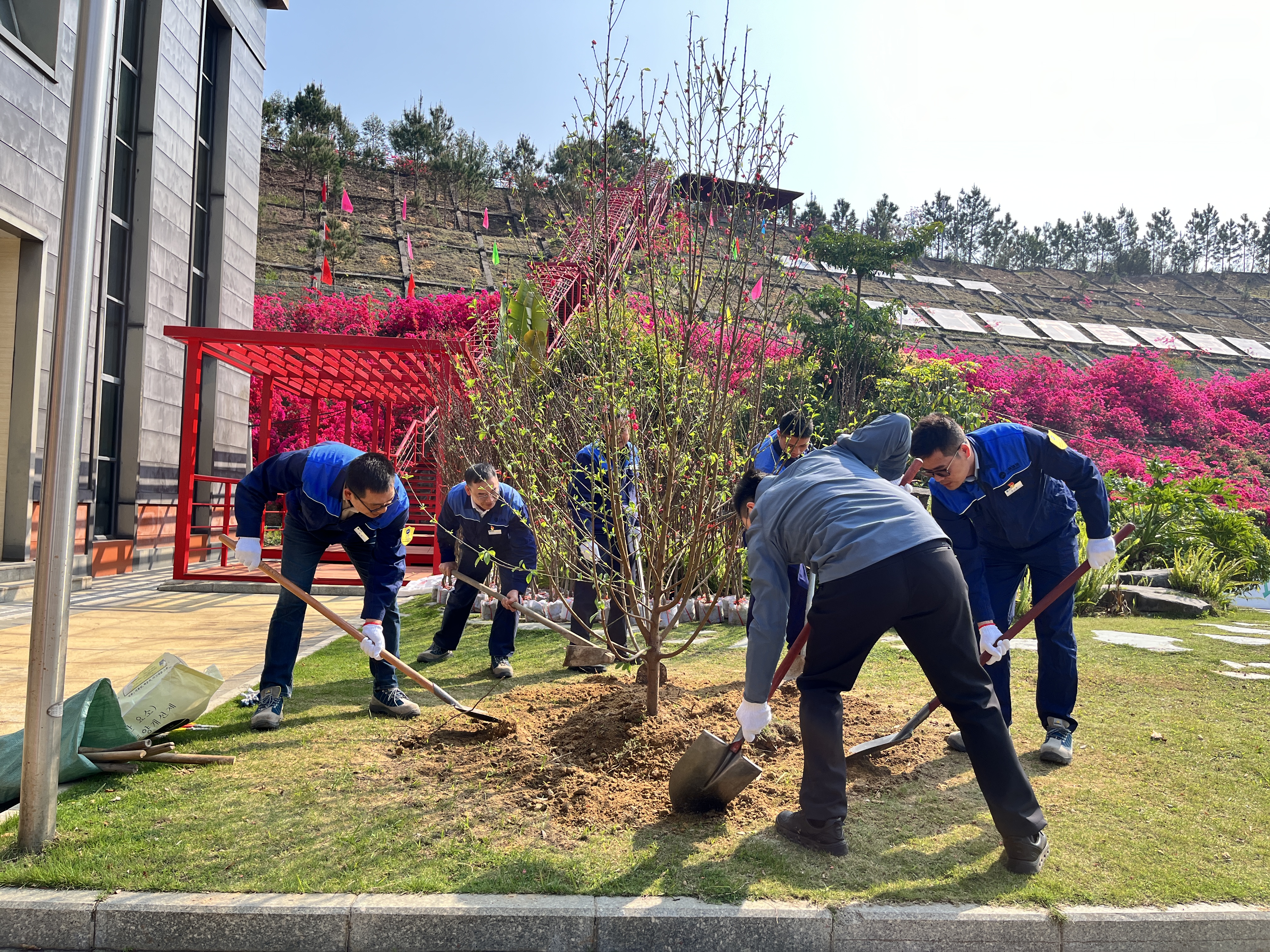 職工在廠區池塘邊種下首科桃樹.jpg 職工在廠區池塘邊種下首科桃樹.jpg