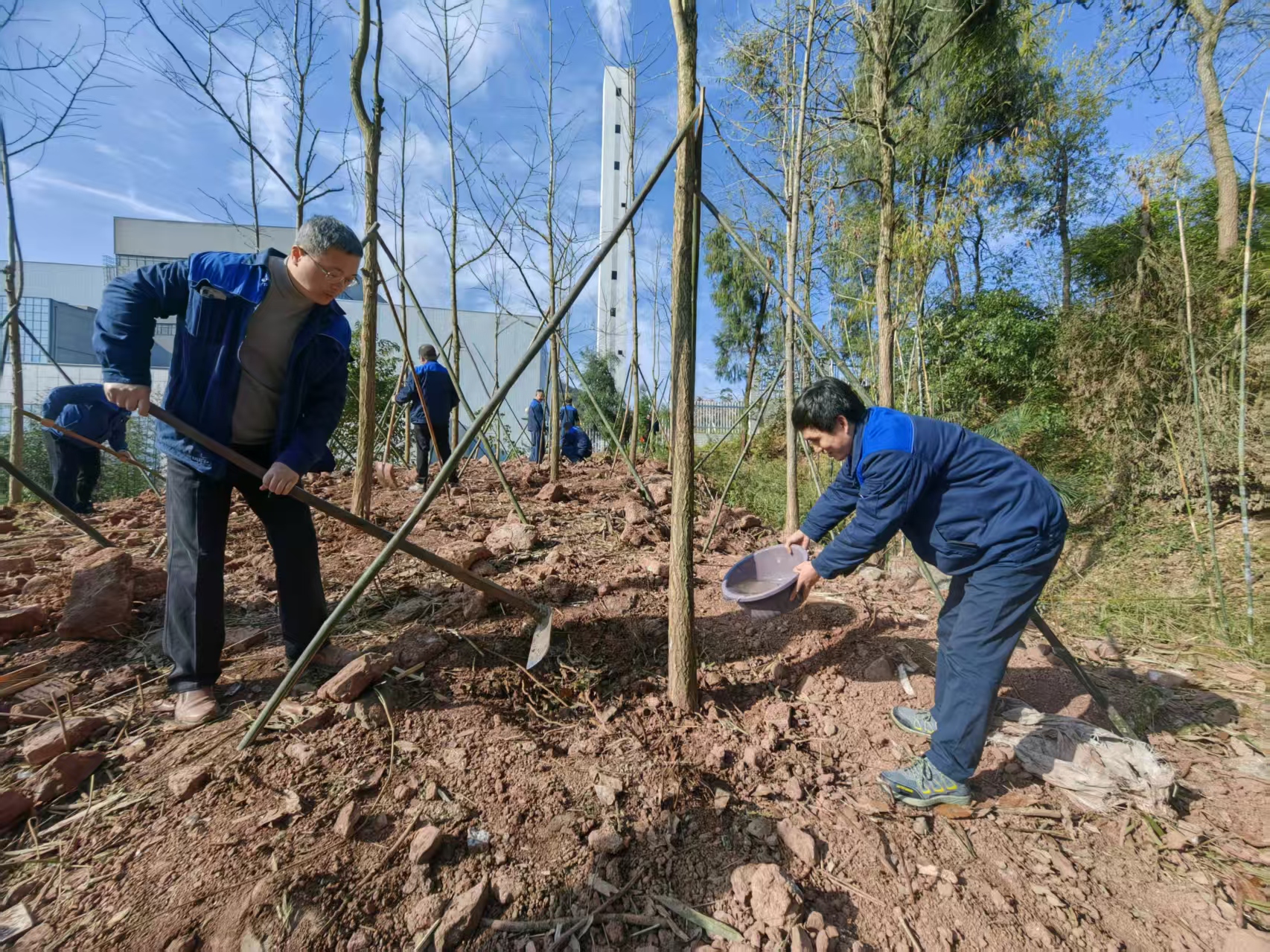 mmexport1773308712677.jpg mmexport1773308712677.jpg