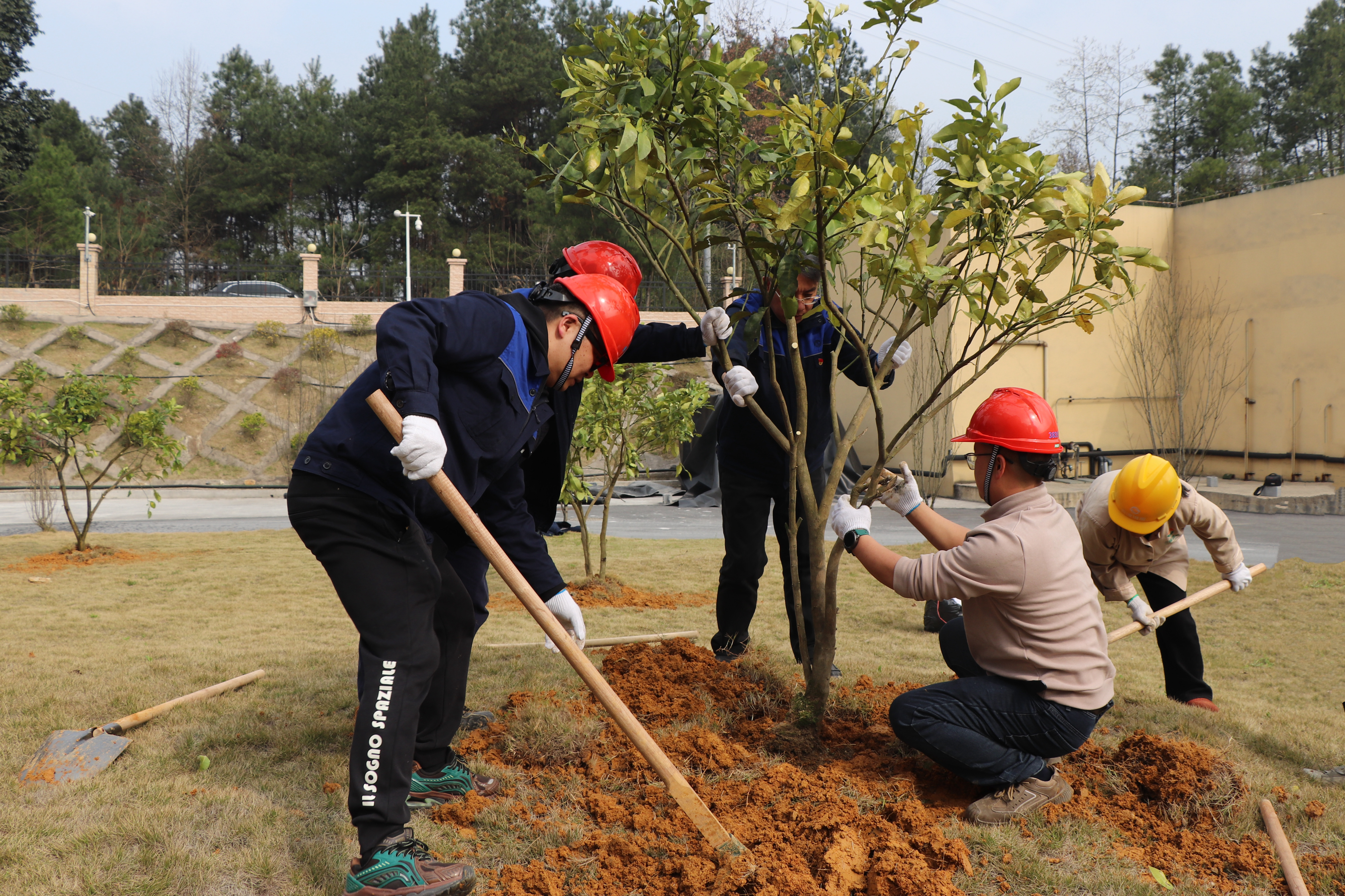 IMG_6265.JPG IMG_6265.JPG