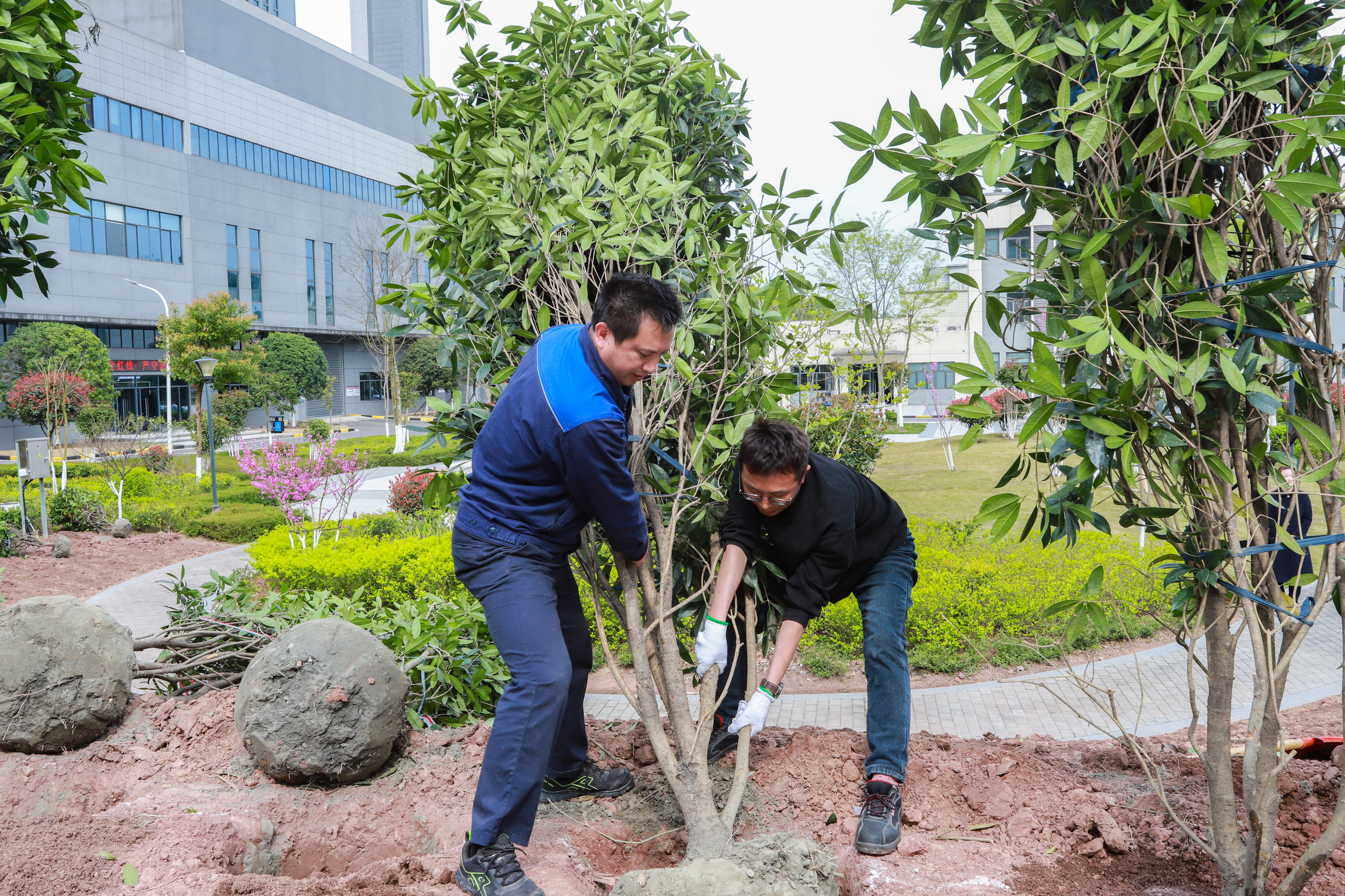 IMG_3396.jpg IMG_3396.jpg