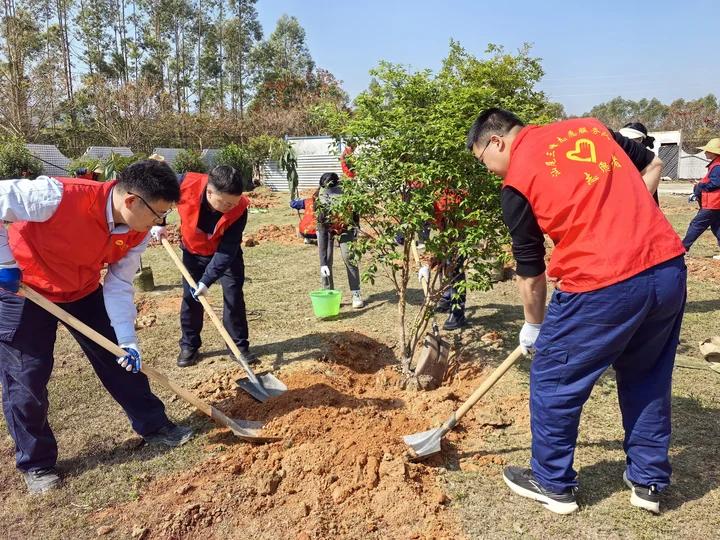 植樹過程3.jpg 植樹過程3.jpg